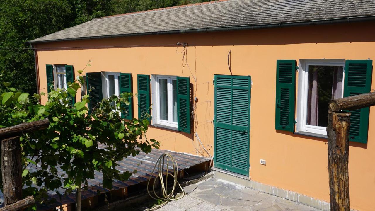 Alloggio per agriturismo U Muinettu *