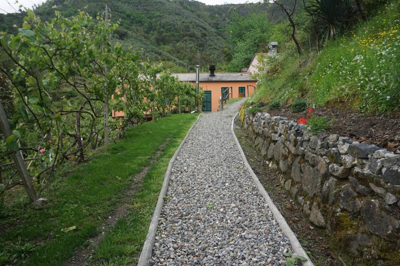 U Muinettu Alloggio per agriturismo *