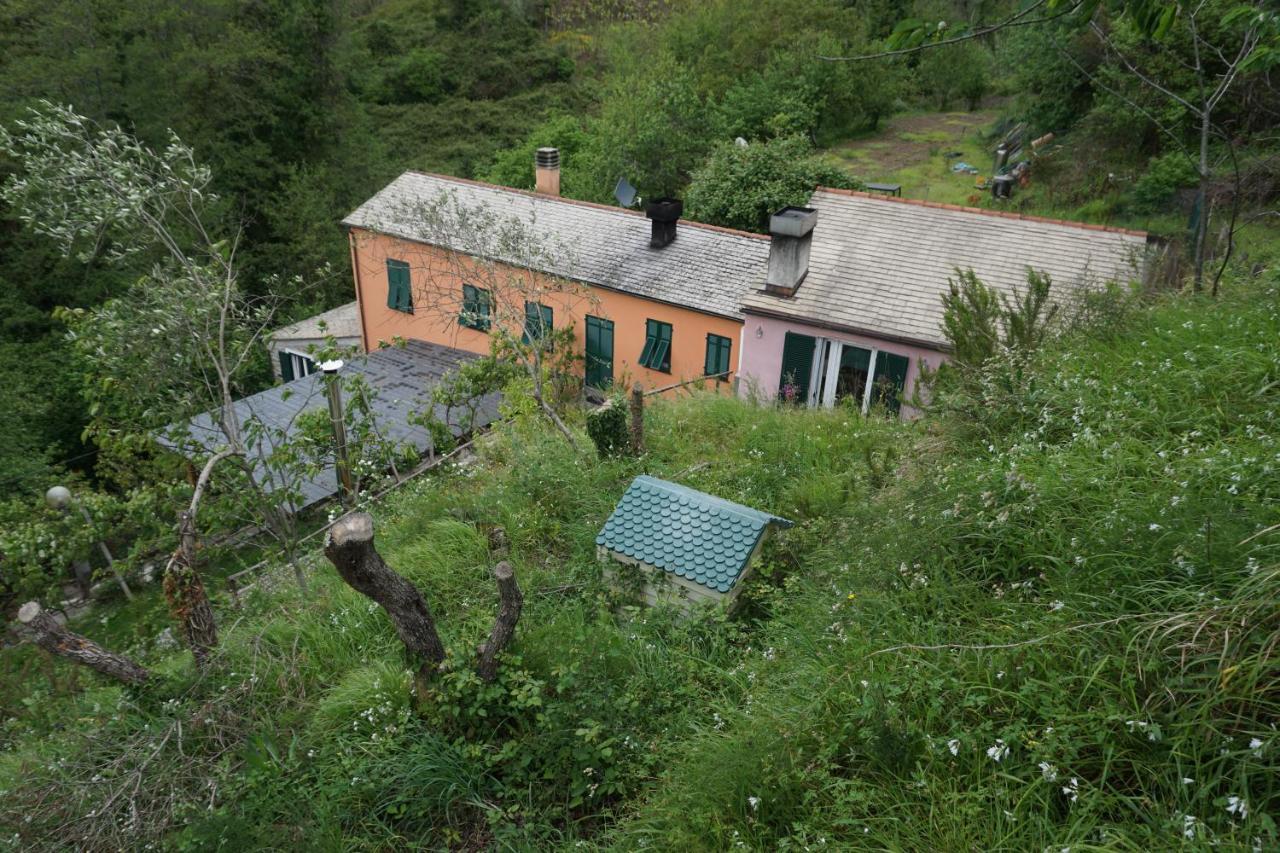 Alloggio per agriturismo U Muinettu