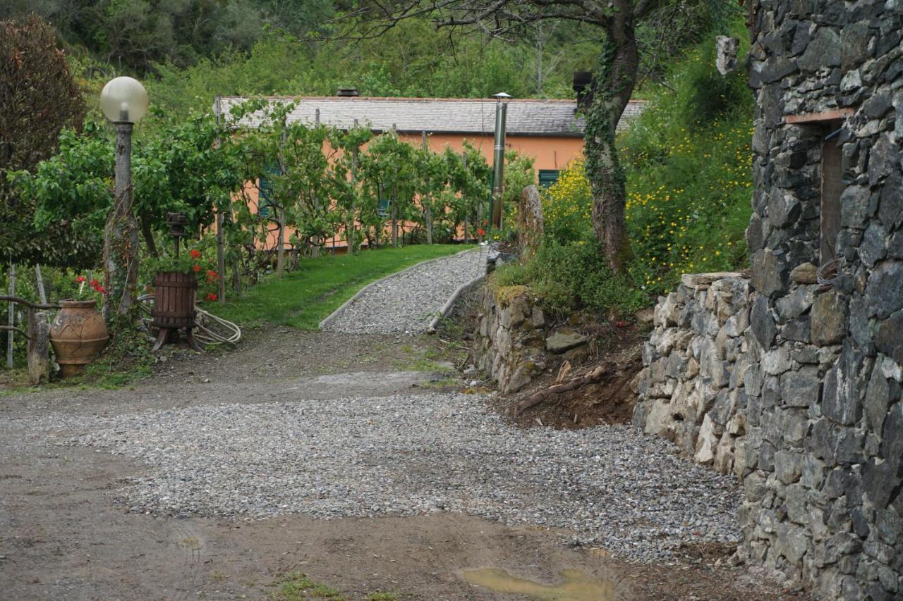 U Muinettu Alloggio per agriturismo La Spezia