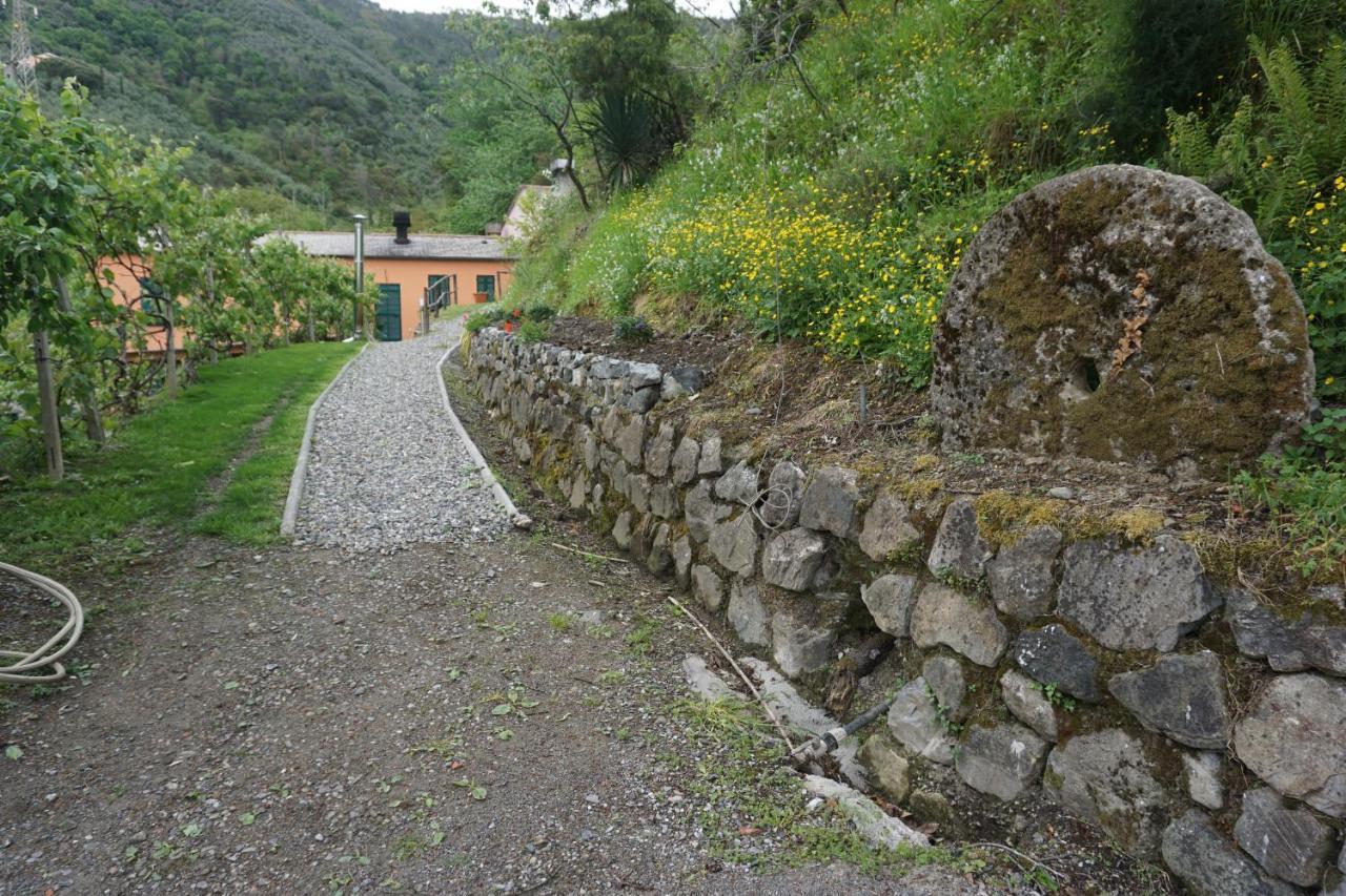 Alloggio per agriturismo U Muinettu *