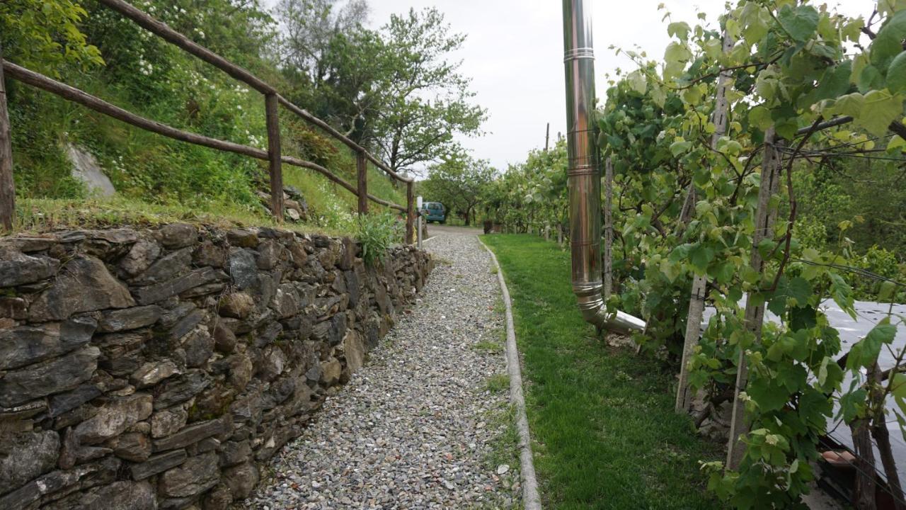 U Muinettu Alloggio per agriturismo